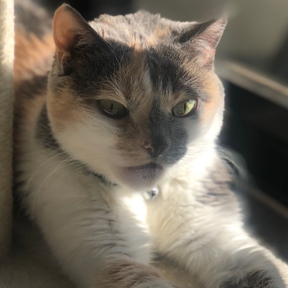 Meet your Posher, Andrea - Picture 1 of 1